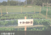 十和の畑.png