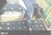 畑作業C.png
